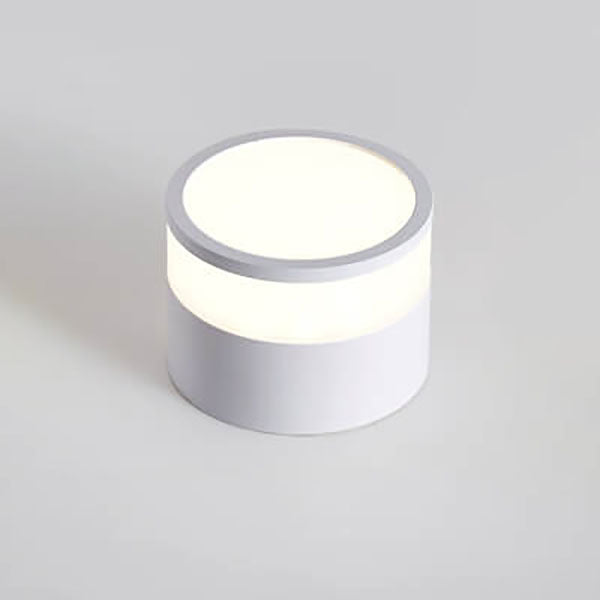 Modern Solid Color Cylinder Aluminum LED Flush Mount Light