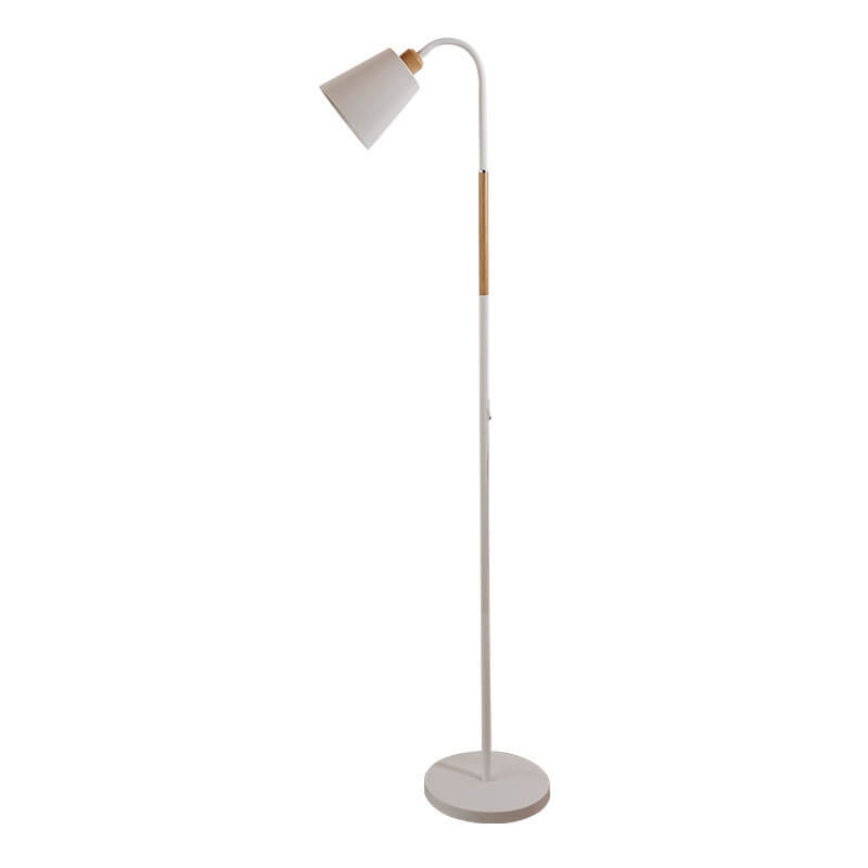 Modern Minimalist Iron 1-Light Standing Floor Lamp