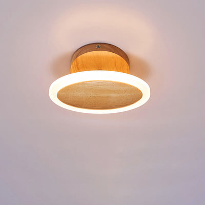 Modern Minimalist Log Oval LED Semi-Flush Mount Ceiling Light