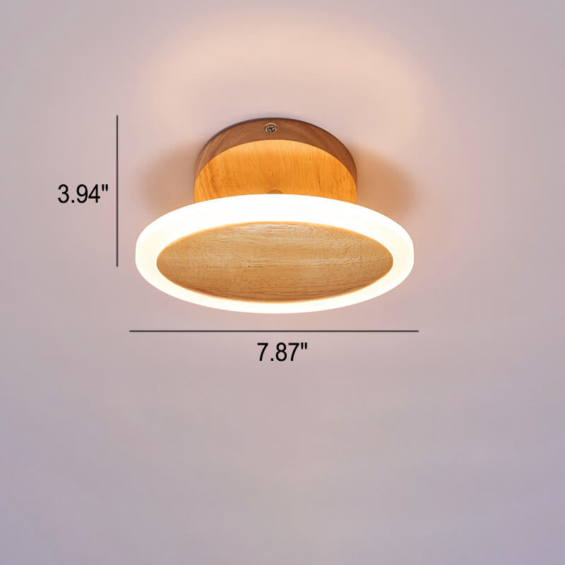 Modern Minimalist Log Oval LED Semi-Flush Mount Ceiling Light