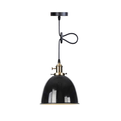 Industrial Iron Multicolor Bowl 1-Light Pendant Light