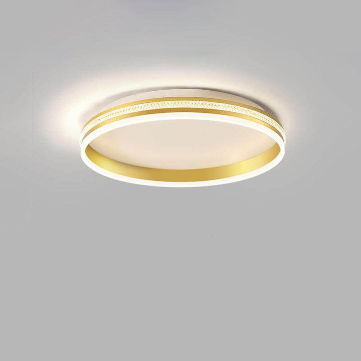Modern Minimalist Aluminum Iron Acrylic Round Ring Brushed LED Flush Mount Ceiling Light For Living Room &amp; Bedroom