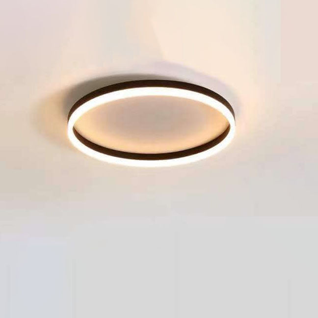 Nordic Minimalist Circle Ring Iron Acrylic LED Flush Mount Ceiling Light