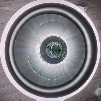 Simple Modern Acrylic Lightweight LED Flush Mount Fan Light